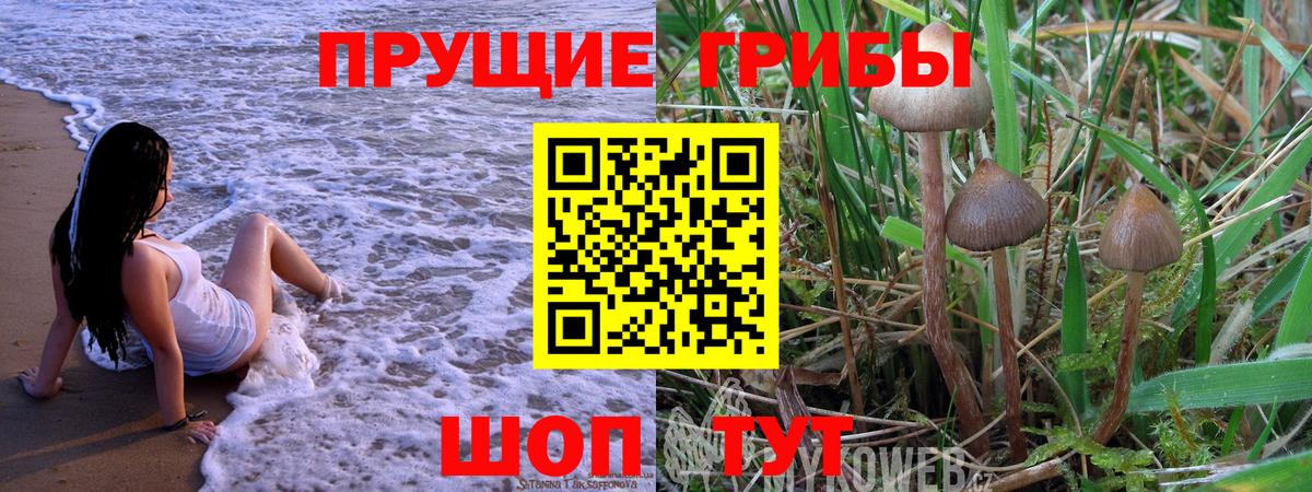 Галлюциногенные грибы мицелий  Псилоцибиновые грибы MAGIC MUSHROOMS  Ростов-на-Дону  Вход с VPN 